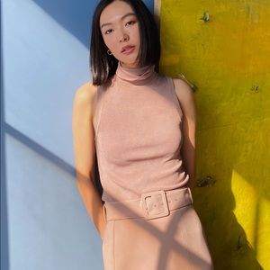 Aritzia Babaton Cravan Turtleneck